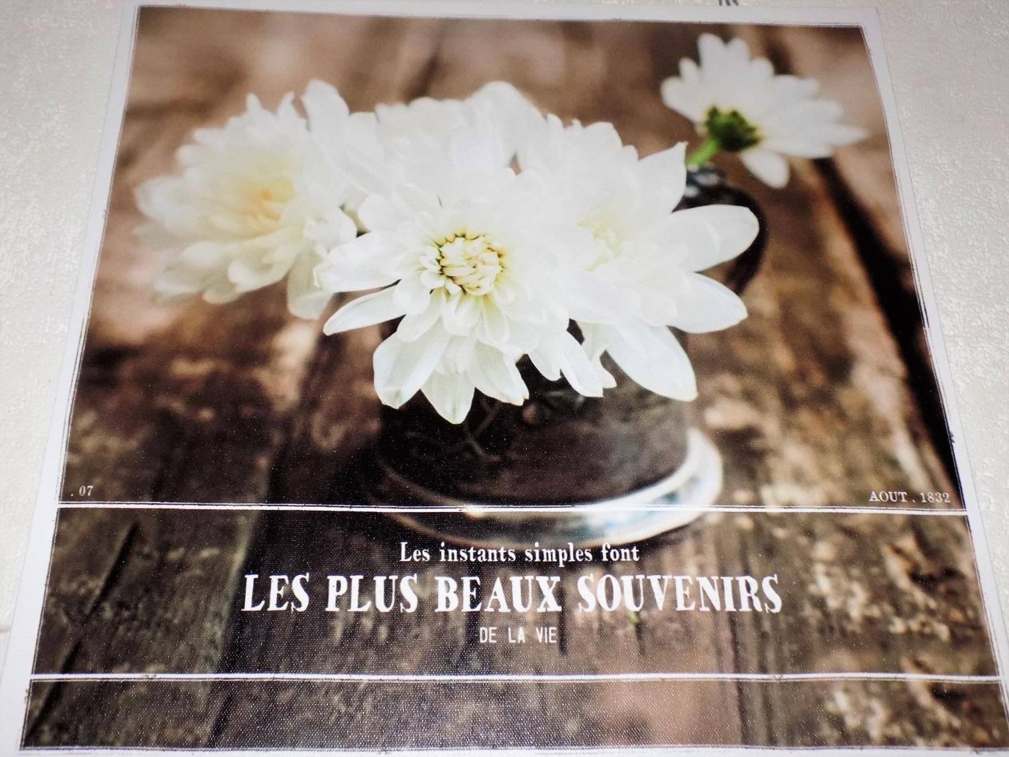 Saint Georges De Didonne - Studio Cabine - Residence Boisee Proche Plage エクステリア 写真